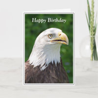 Retrato de uma Águia Americana Feliz Aniversário
