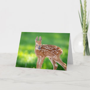 Cartão Retrato de uma Fawn recém-nascida (veado de cauda 