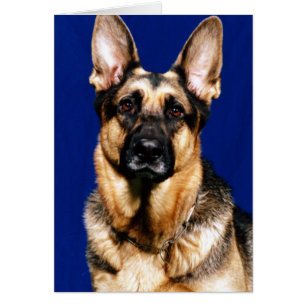 Cartão Retrato do german shepherd
