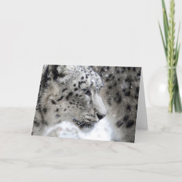 Cartão Retrato do Perfil Leopardo da Neve