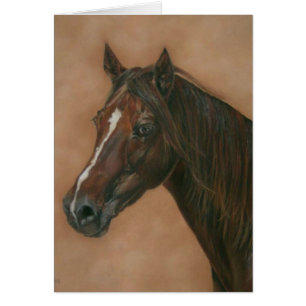 Cartão retrato eqüino do cavalo do marrom da égua da