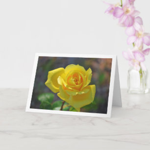 Cartão Retrato Floral Amarelo de Rosa