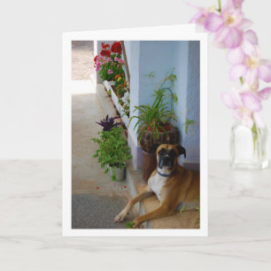 Cartão Retrato Floral de Cachorro