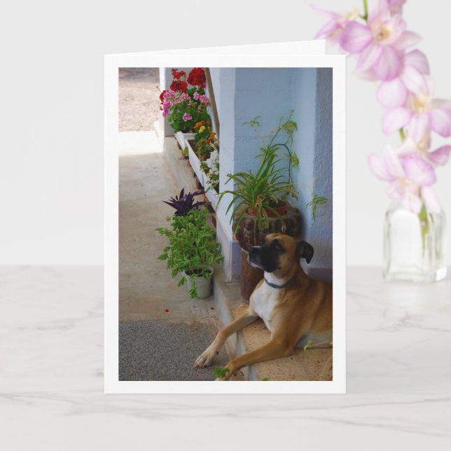 Cartão Retrato Floral de Cachorro (Orquídea)