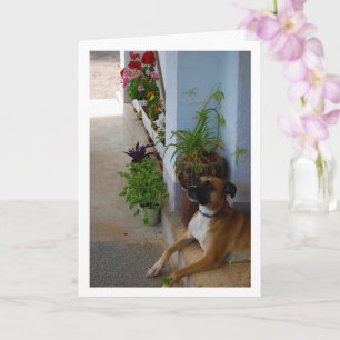 Cartão Retrato Floral de Cachorro
