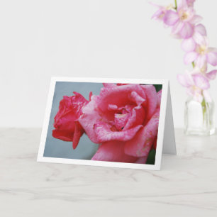 Cartão Retrato Floral de Rosas Cor-de-Rosa
