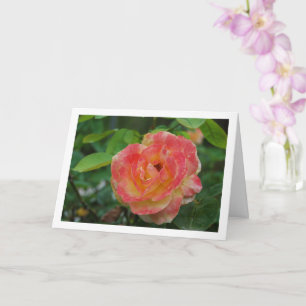 Cartão Retrato Floral Rosa e Amarelo de Rosa