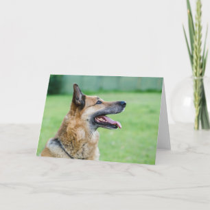 Cartão Retrato lateral do german shepherd