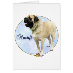 Cartão Retrato Mastiff Fawn