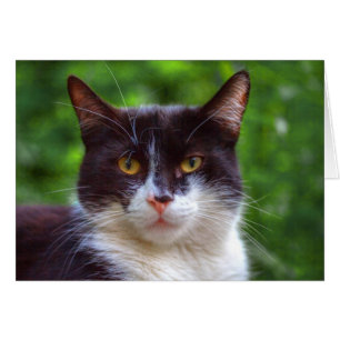 Cartão Retrato Tuxedo