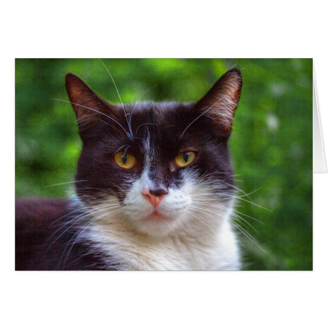 Cartão Retrato Tuxedo (Frente Horizontal)