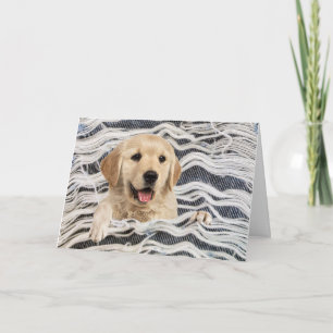 Cartão Retriever De ouro Em Denim Frayed