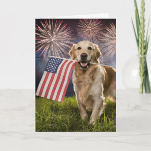 Cartão Retriever de ouros com bandeira americana