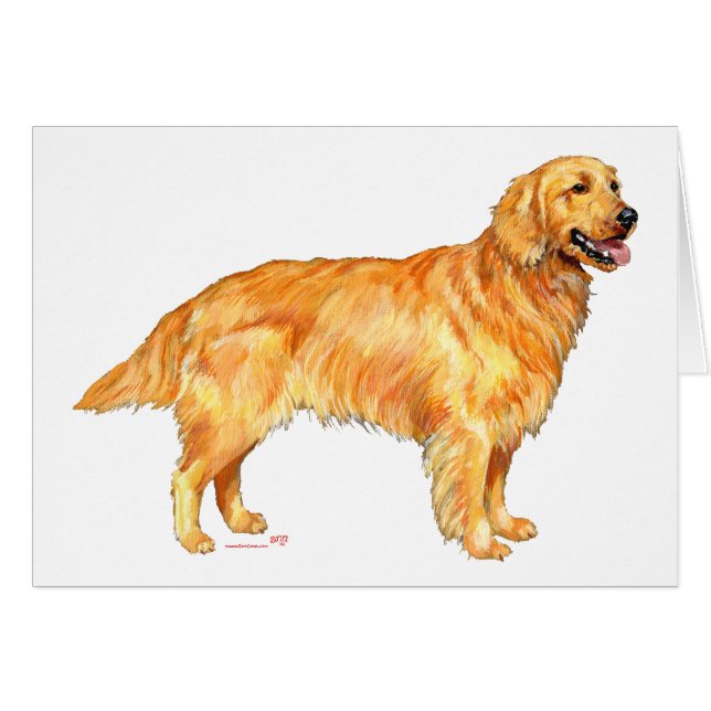 Cartão Retriever Dourado (Frente Horizontal)