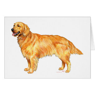 Cartão Retriever Dourado