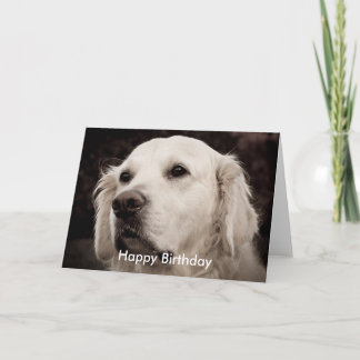 Cartão Retriever - Ouro