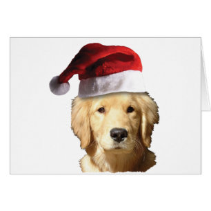 Cartão Retriever Ouro de Natal