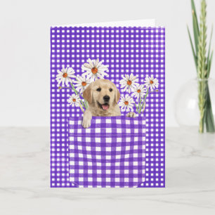 Cartão Retrievers De ouro Na Placa De Bolso Gingham