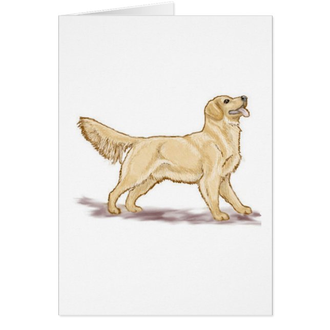 Cartão Retrivers de ouro (Frente)