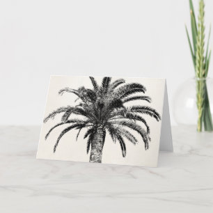 Cartão Retro Tropical Island Palm Tree in Black and White