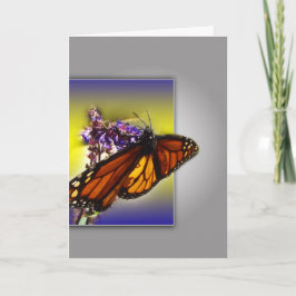 Cartão Reuniões da Borboleta Monarca