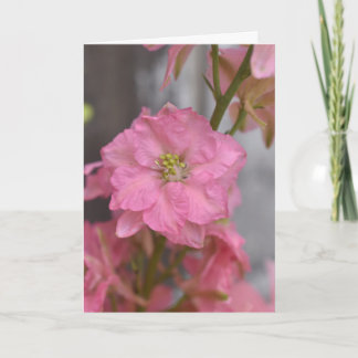 Cartão Reverência Corada – Macro Floral Blossom Rosa
