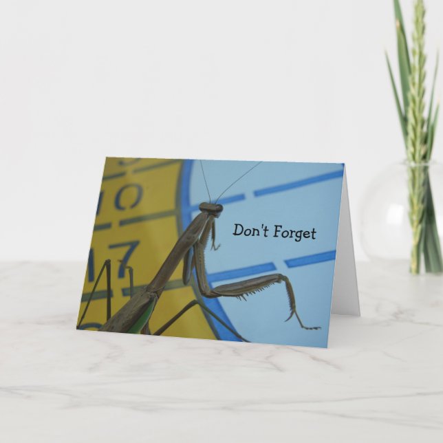 Cartão Rezando Mantis, não se esqueça (Frente)