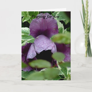 Cartão Rezando por você