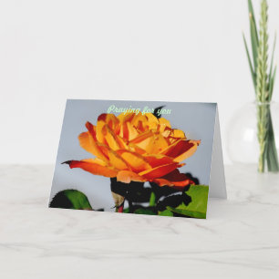 Cartão Rezando por você