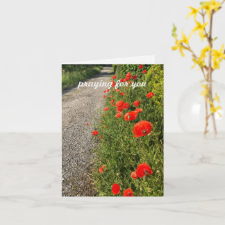 Cartão Rezando por você, texto personalizado fotografia o