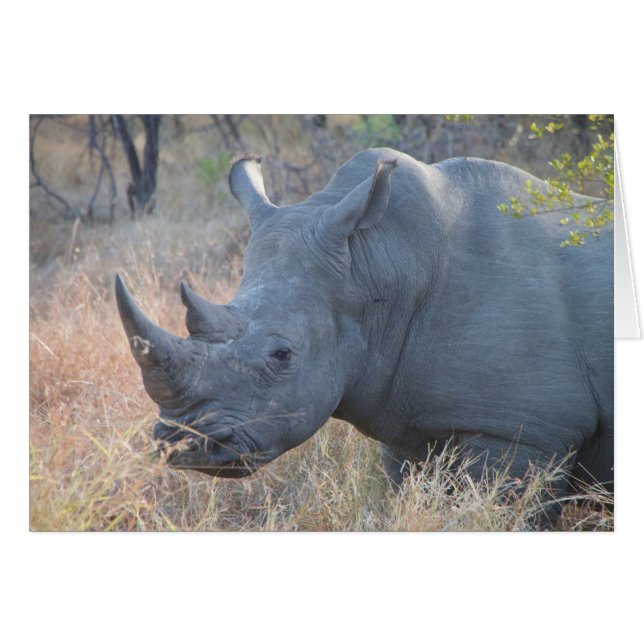 Cartão Rhino (Frente Horizontal)