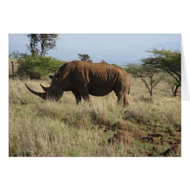 Cartão Rhino (Frente Horizontal)