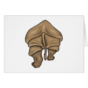 Cartão rhino bumbum