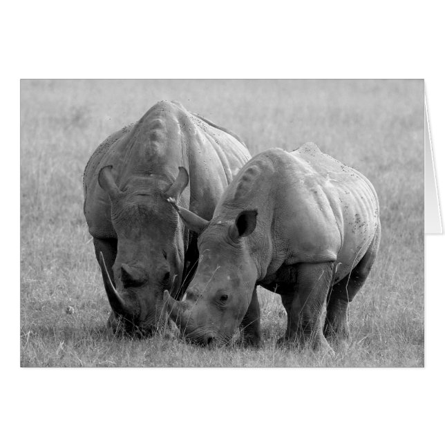 Cartão Rhino Card preto e branco (Frente Horizontal)