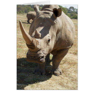 Cartão Rhino Charging