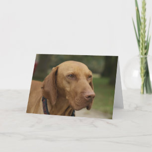 Cartão Rhodesian Ridgeback Dog Greeting Card