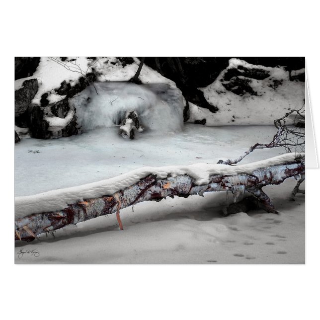 Cartão Ribeiro Birchfall de Stinson (Frente Horizontal)