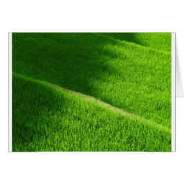 Cartão Rice Terraces Yamada's Rice Fields Japão