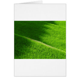 Cartão Rice Terraces Yamada's Rice Fields Japão