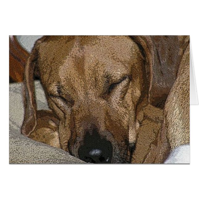 Cartão Ridgeback rodesiano (Frente Horizontal)