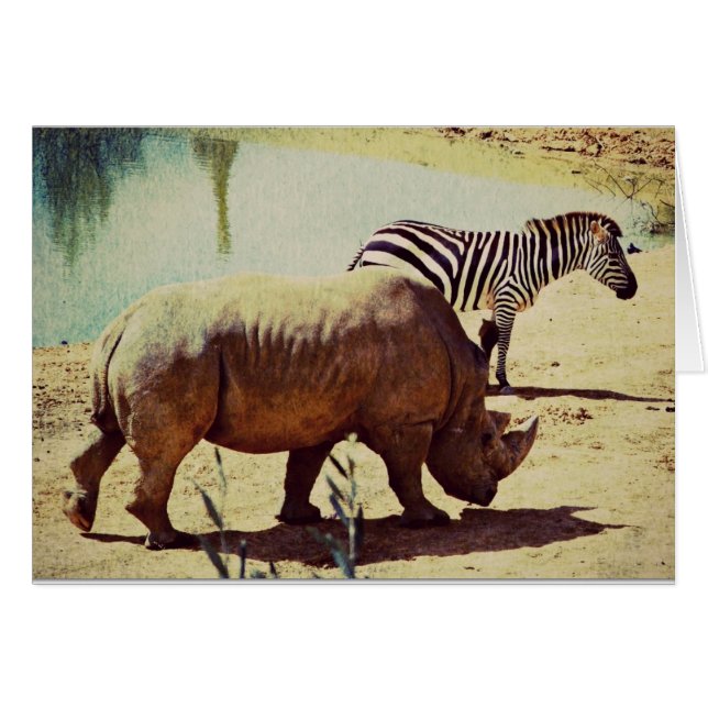 Cartão Rino e Zebra (Frente Horizontal)