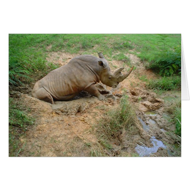 Cartão Rinoceronte (Frente Horizontal)