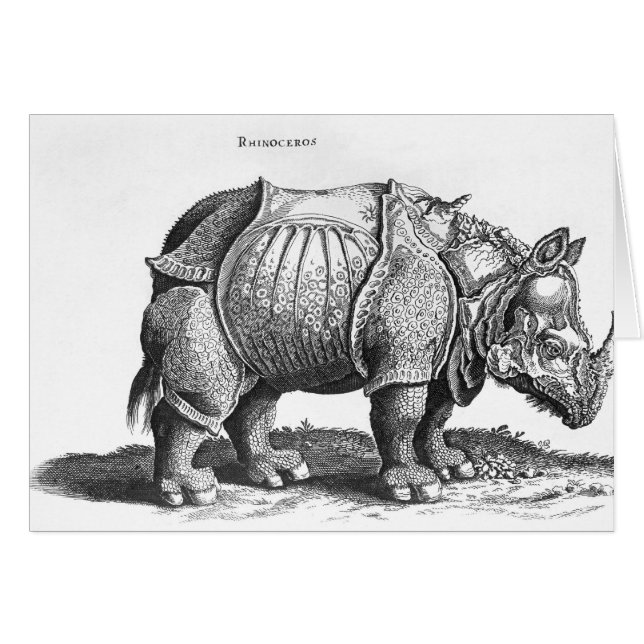 Cartão Rinocerontes, de "Historia Animalium" (Frente Horizontal)