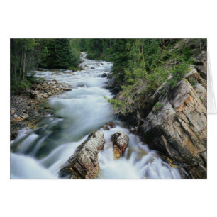 Cartão Rio Crystal, Floresta Nacional de Gunnison,