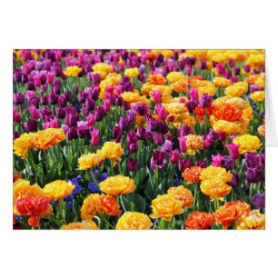 Cartão Rio Floral Falln Sunset