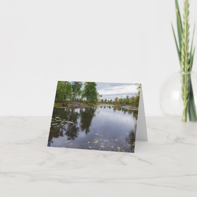 Cartão rio Missisquoi através de refúgio para a vida selv (Frente)