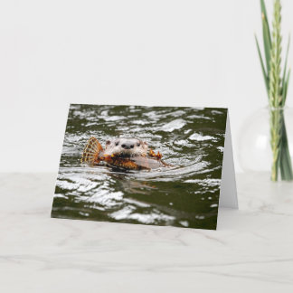 Cartão Rio Otter e Peixes