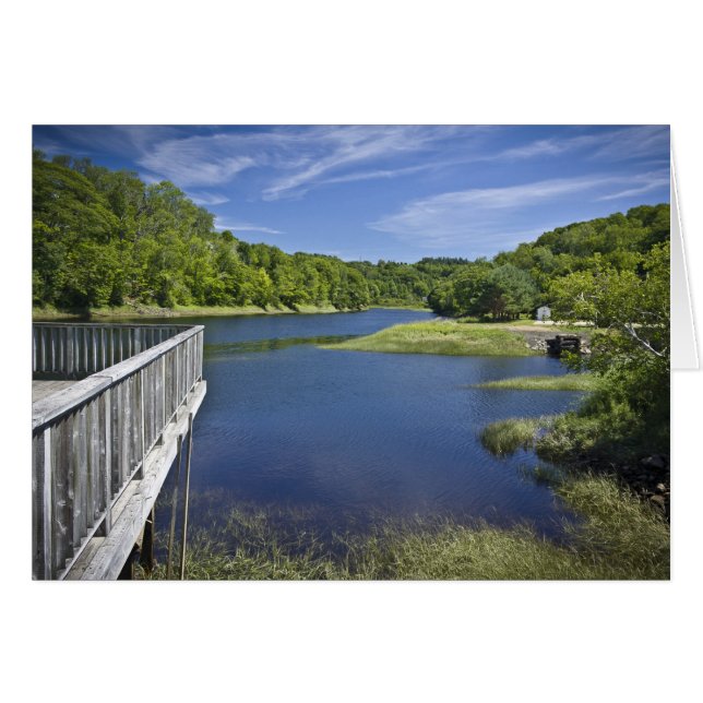 Cartão Rio Urso, NS (Frente Horizontal)