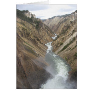 Cartão Rio Yellowstone