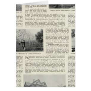 Cartão Riverdale Prune Orchard, Califórnia